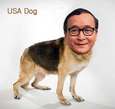 USA Dog
